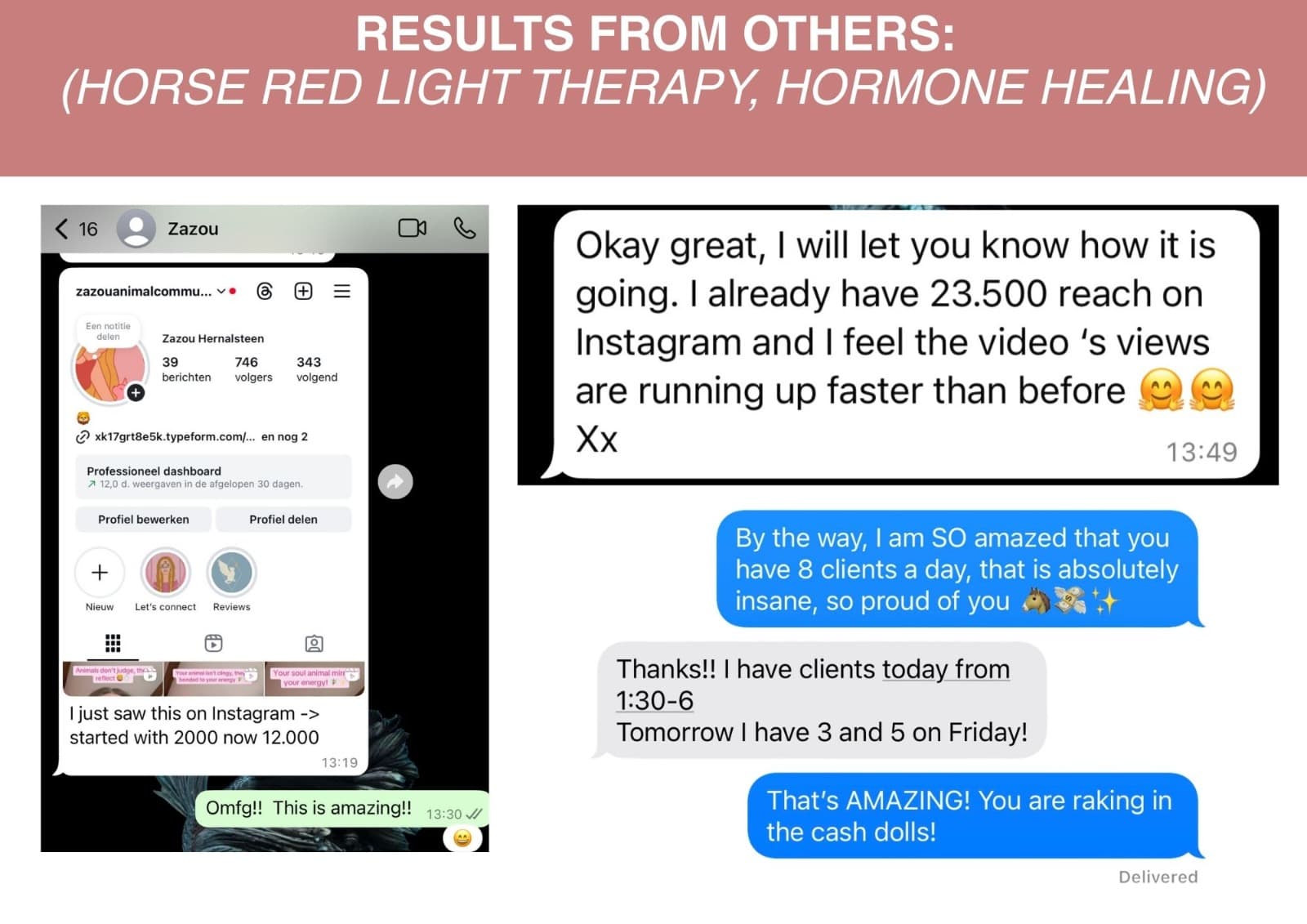 Zazou — 2K to 12K followers, 8 clients a day, horse red light therapy niche